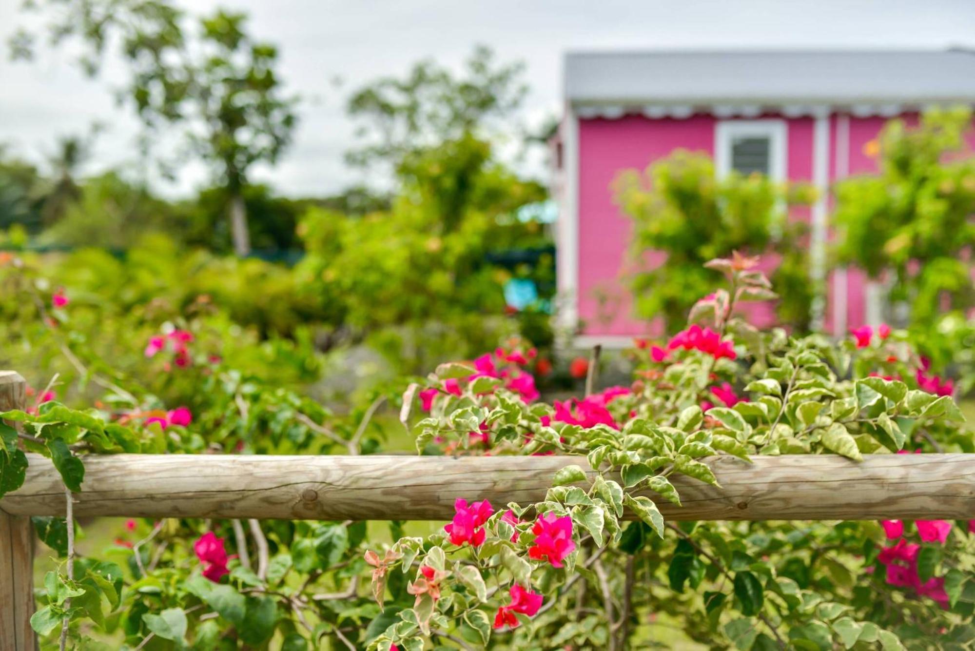 Les Jardins De Chantilly -Bungalows 4 Etoiles Avec Jardins Et Piscines Privees Baie-Mahault Zimmer foto